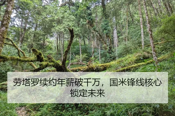 lao-ta-luo-xu-yue-nian-xin-po-qian-wan-guo-mi-feng-xian-he-xin-suo-ding-wei-lai-2-601.jpg
