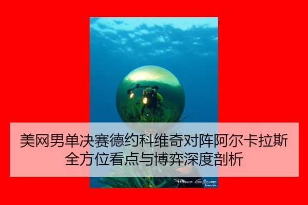 mei-wang-nan-dan-jue-sai-de-yue-ke-wei-qi-dui-zhen-a-er-ka-la-si-quan-fang-wei-kan-dian-yu-bo-yi-shen-du-pou-xi-2-287.jpg