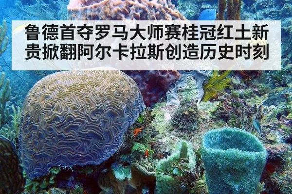 鲁德首夺罗马大师赛桂冠红土新贵掀翻阿尔卡拉斯创造历史时刻